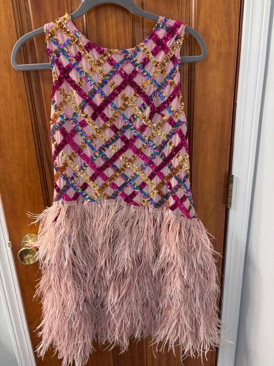 QUEEN OF SPARKLES Dresses & Skirts - Queen of sparkles Pink Sequin & Feather Party Dress